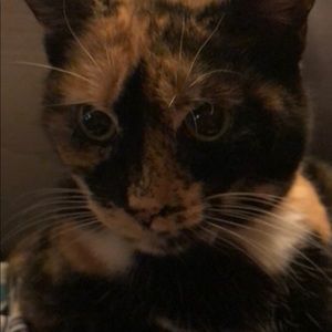 Meet your Posher, Chelle